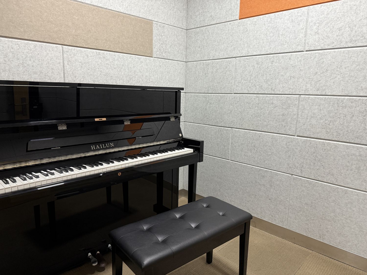 One of the school&rsquo;s forty professional piano rooms